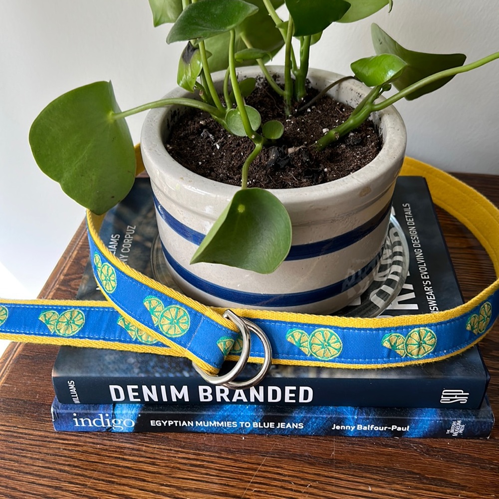 Lemon Lime blue and Yellow Graphic Belt